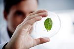 Ciencias-Biologicas---Licenciatura