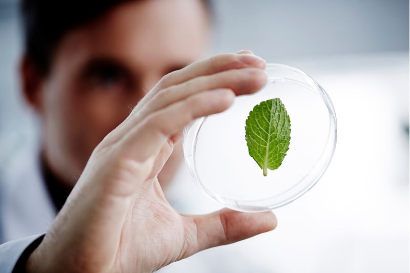 Ciencias-Biologicas---Licenciatura