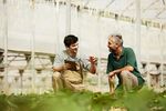 Agronomia--EAD-Semipresencial-