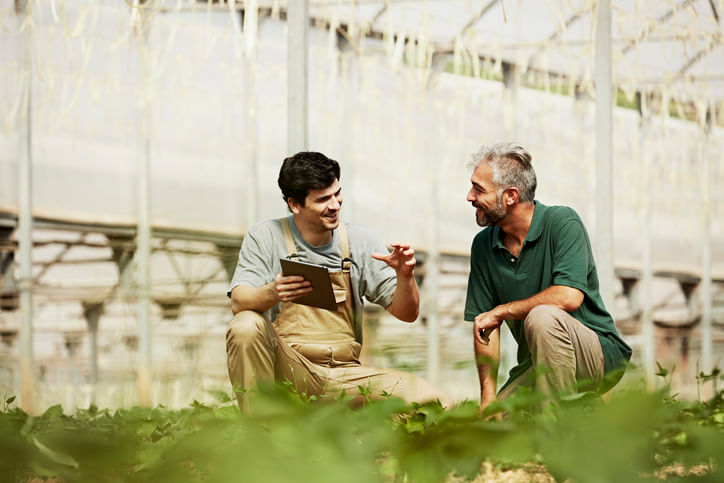 Agronomia--EAD-Semipresencial-