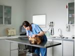 Medicina-Veterinaria