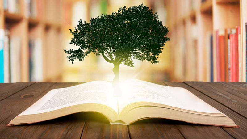 Teorias-e-Praticas-Educativas-Inovadoras-em-Geografia-e-em-Educacao-Ambiental