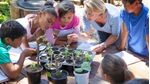 Educacao-Ambiental--Praticas-Interdisciplinares-para-o-Estudo-do-Meio-