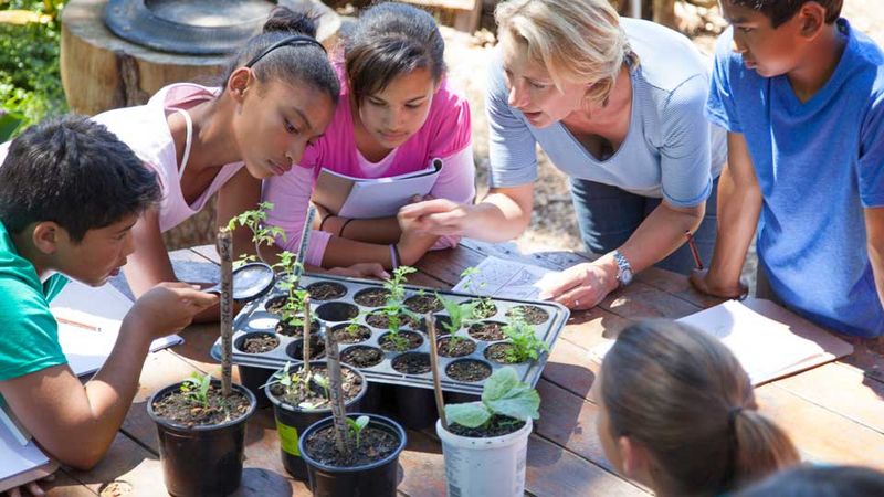 Educacao-Ambiental--Praticas-Interdisciplinares-para-o-Estudo-do-Meio-