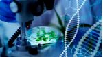 Competencia-e-Habilidades-para-o-Ensino-das-Ciencias-Biologicas