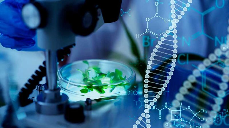 Competencia-e-Habilidades-para-o-Ensino-das-Ciencias-Biologicas