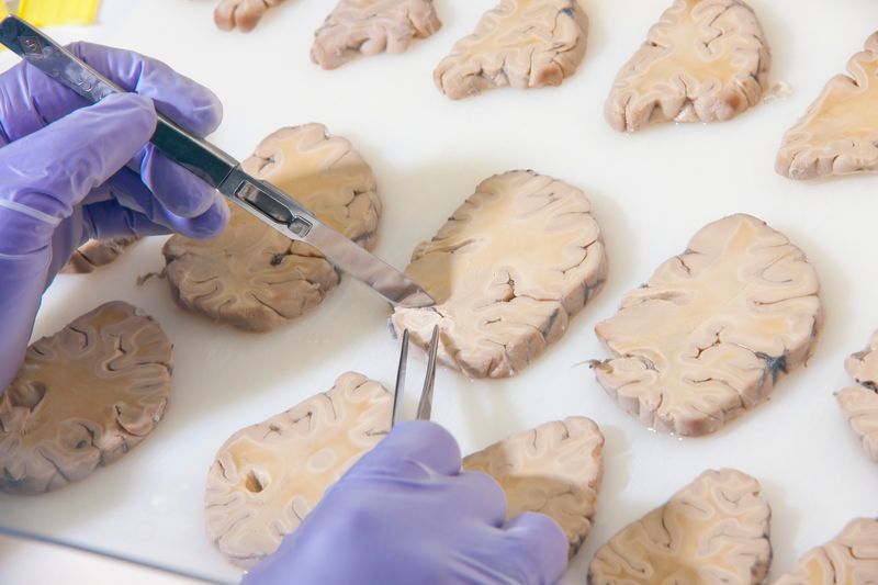 enfermagem forense