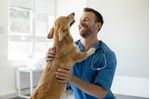 fisioterapia-veterinaria